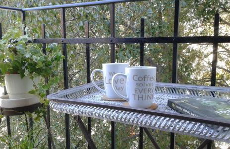 Celtis Old town Apartment - Foto 11