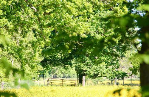 The Little Barn - Foto 60