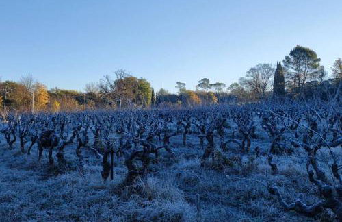 Appartement 3 pièces avec terrasse au soleil - Foto 7