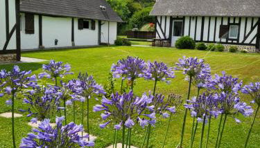 casa de invitados estilo normandie - Foto 3, Garden