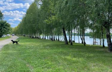 Batek Home - Foto 14