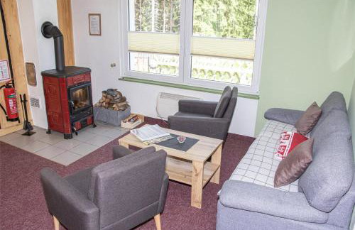 Erzgebirgsidyll Breitenbrunn - Waldhaus - Foto 50