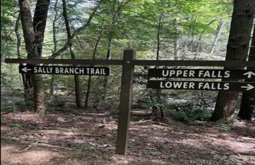 Updated Classic Cabin, Private Community and Hot Tub - Foto 33