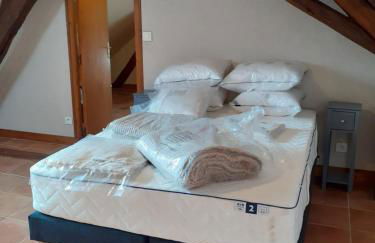 Gites au fil des châteaux de la Loire - Foto 48