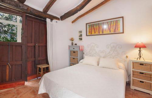 La Rana Verde de Abajo - Foto 16