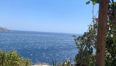 ΠΕΤΡΙΝΟ στην Άνδρο - Foto 3