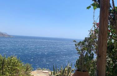 ΠΕΤΡΙΝΟ στην Άνδρο - Foto 3