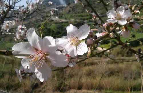 MIRADOR DEL VALLE - Foto 31