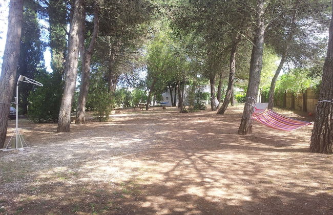 Agriturismo Vignavecchia - Photo 48