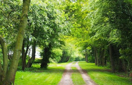 Cosy C17 cottage with country walks from the doorstep - Foto 29