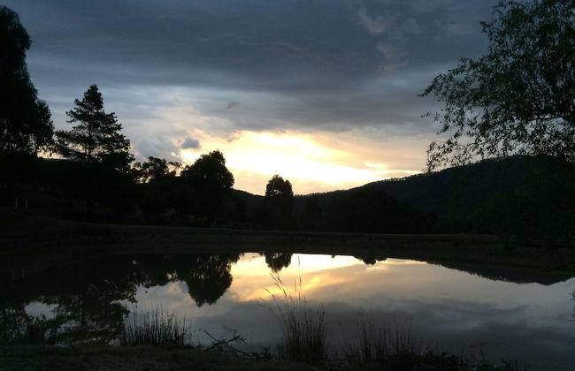 The Black Sparrow - Photo 68