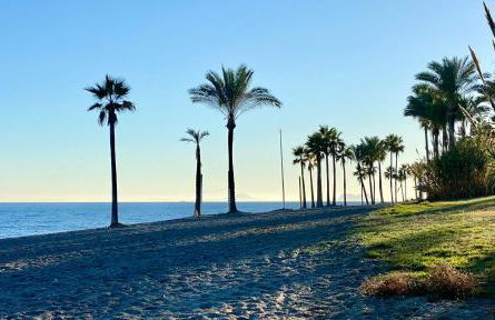 Mon paradis au soleil - Photo 35