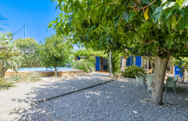 Ave de Paso - Foto 30