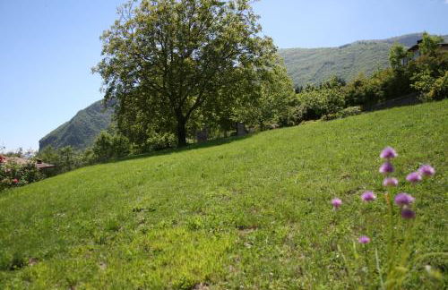 La finestra sul Lago - Foto 16