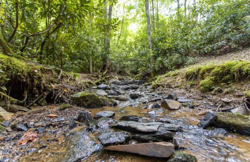 Martins Nest - Foto 34