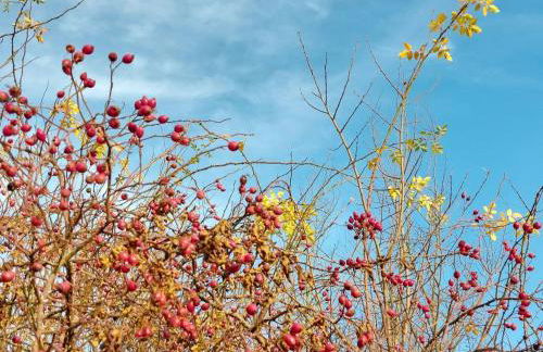 ENCANTO Apartment - Foto 43