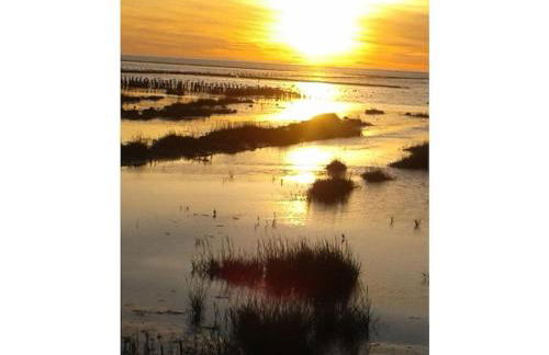 On the North Sea 4 - Foto 35