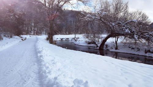 Ferienwohnungen Däubler - Foto 3