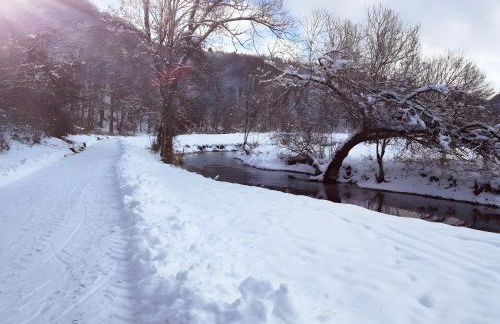 Ferienwohnungen Däubler - Foto 3