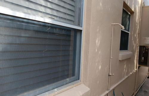 Madeira Bonita - Photo 27