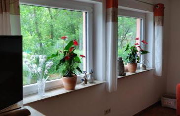 Ferienwohnungen am Werbellinsee - Foto 10