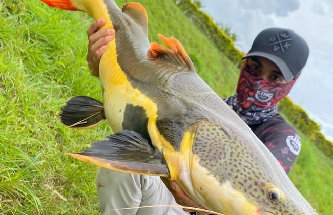 Hotel fazenda Pousada da serra - Photo 12