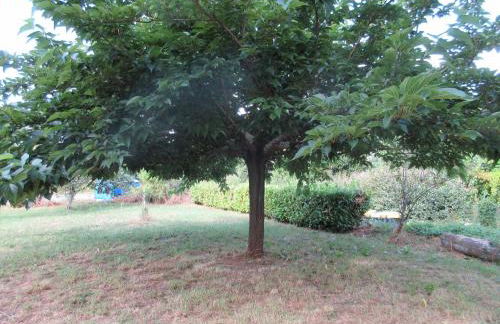 ARDECHE La Ribeyre - Foto 15