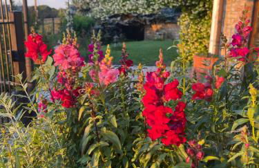 Agriturismo Poderi Zunino - Foto 10
