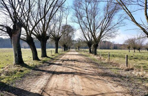 Prywatny Domek koło Tykocina - Foto 21