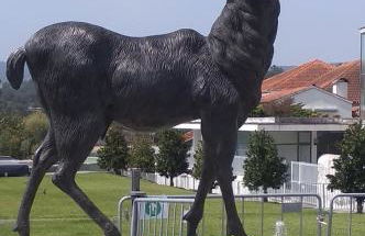 Refúgio Da Gandra - Foto 36