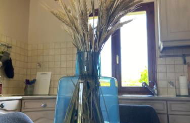 Terre et Mer, maison avec jardin - Foto 11