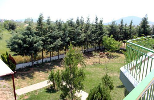 Ktima Anastasia - Foto 70