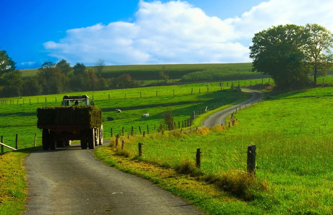 Modern Holiday Home in Somme-leuze With Garden - Foto 46