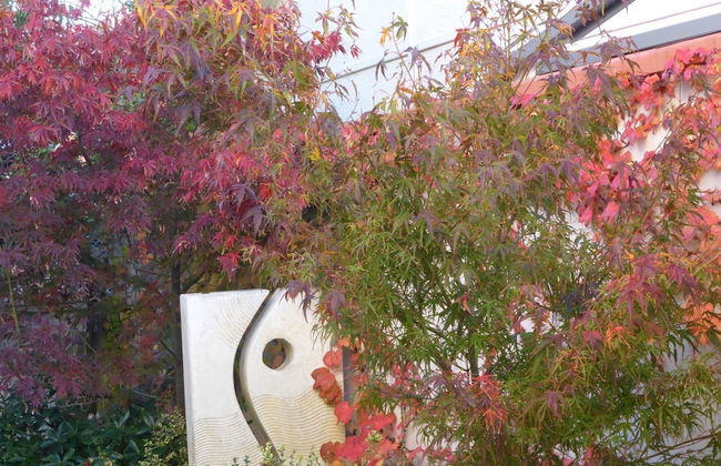 A Colourcity Apartments - Foto 31