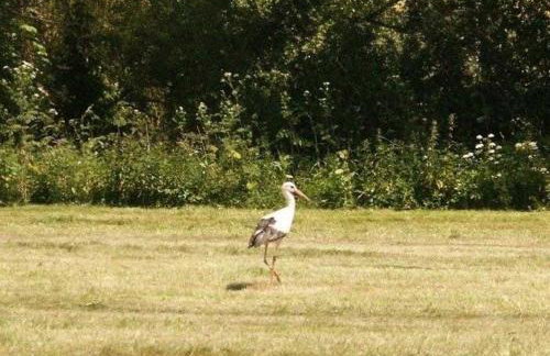 Ferienhaus Weitblick - Foto 18