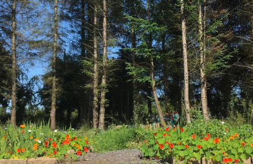 Pigeon Brae pet friendly accommodation Enniskillen - Foto 17