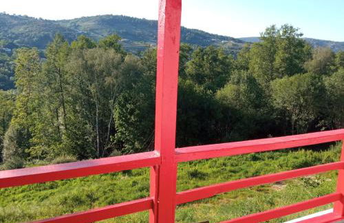 O Salgueiral - Foto 36