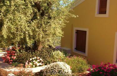 Tesoro of Ithaca - Foto 2