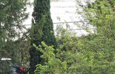 Apartment Nr 3 in Untertürkheim - Foto 24