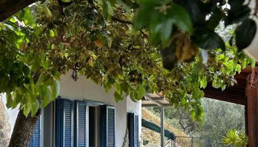 Villa Torre di Lupo- Manfredi Homes&Villas - Foto 2