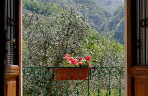 Agriturismo Conca Sandra - Farm Stay on Lake Como - Foto 55
