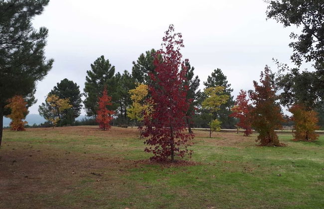 Sakura Vera - Foto 54