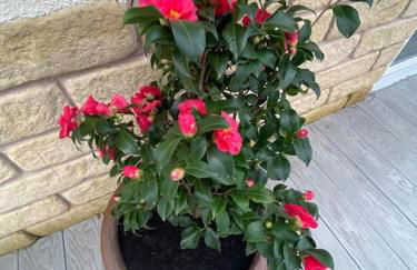 Luxurious and Peaceful Lakeside House, Clitheroe - Foto 35