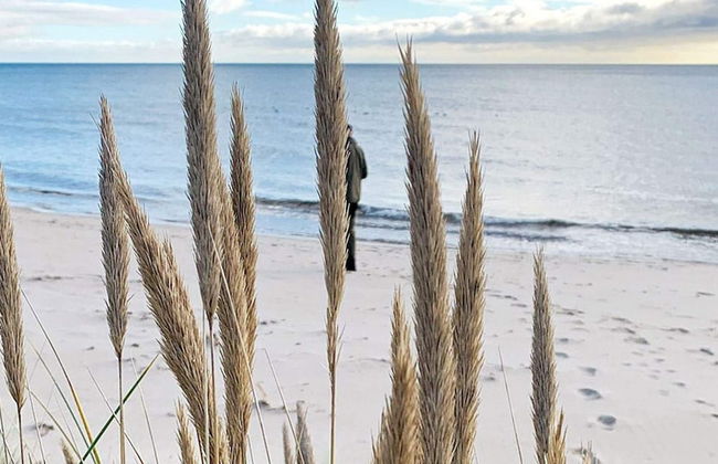 6 Person Holiday Home in Yngsjo, Sverige-by Traum - Foto 22