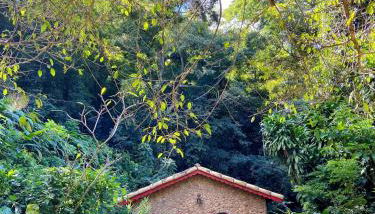 Chalé Vermelho - Sítio Caldeirão - Foto 3