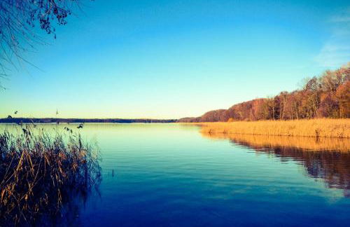 Ferienhaus am Birkenwaeldchen - Motzener See 150m - Foto 43