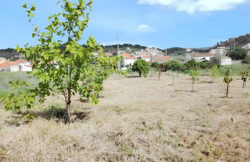 Cozy house with garden in Messines 149 m² mountain view - Foto 23