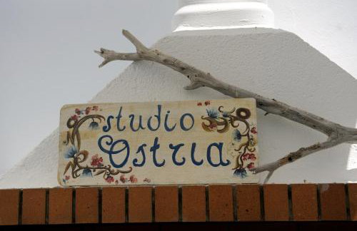 Ostria Studios - Foto 60