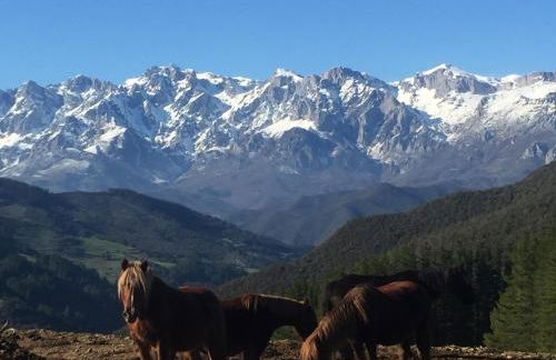APARTAMENTOS LA COTERA - BARRIO DE ARRIBA segunda entrada 2 - Foto 53
