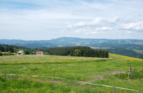 Bäuerleshütte - Foto 10